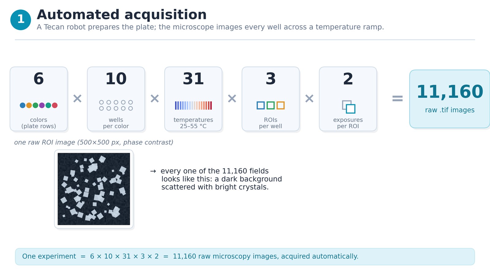 Step 1 — Automated acquisition