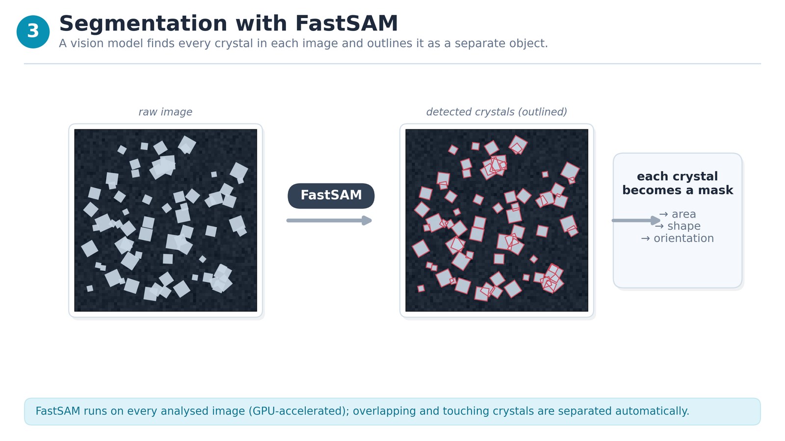 Step 3 — Segmentation with FastSAM