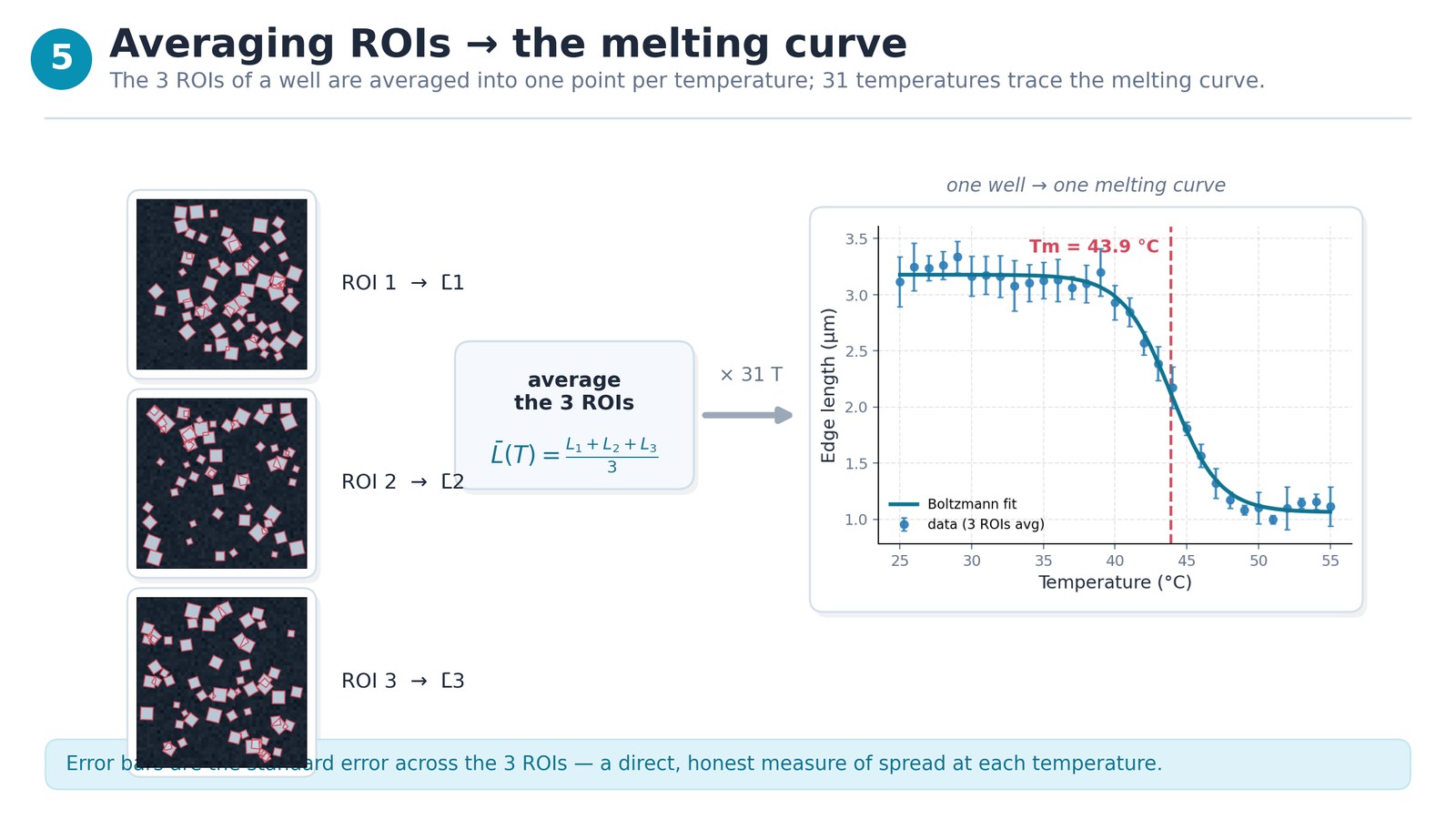 Step 5 — Aggregating ROIs into a melting curve