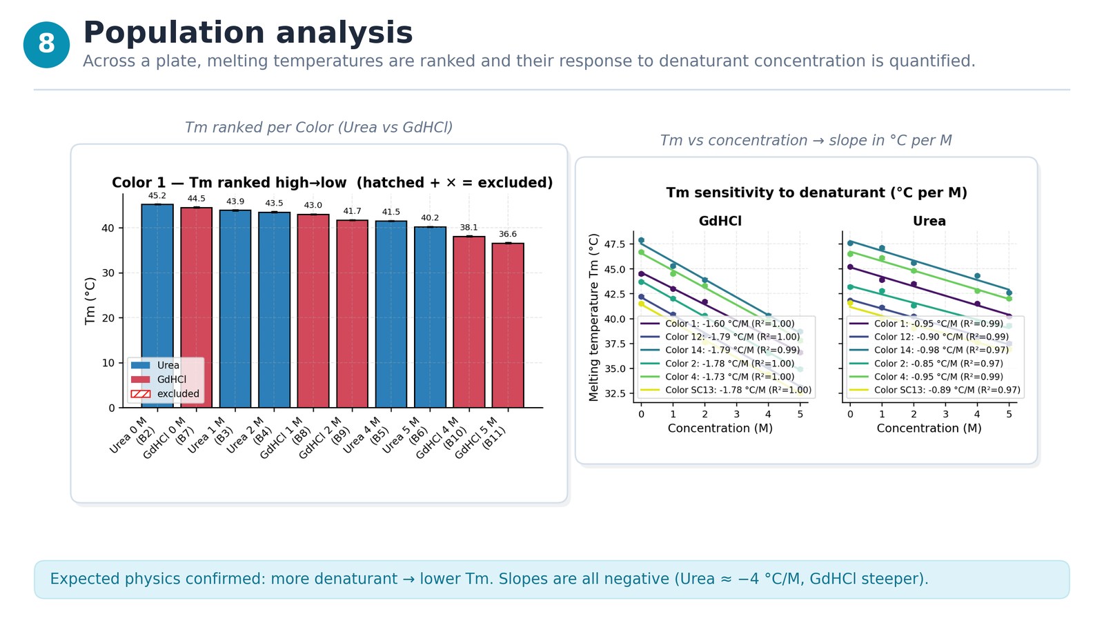 Step 8 — Population analysis: ranked Tm and denaturant response